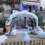 IMG_20231211_142601