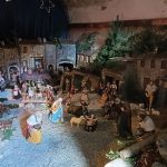 IMG_20231211_142639
