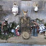 IMG_20231211_142657