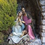 IMG_20231211_142701